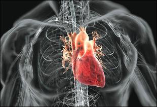 Kalp-damar hastalığı